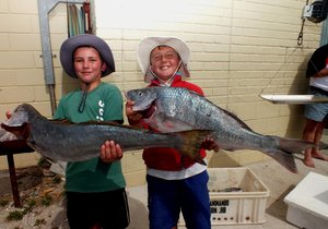 OBK en BBK se 10 Bote 